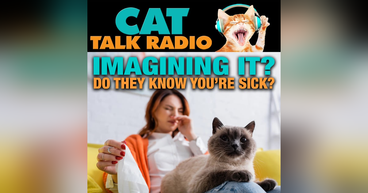 You’re Not Imagining It—Your Cat Really Does Know When You’re Sick You’re Not Imagining It—Your Cat Really Does Know When You’re Sick
