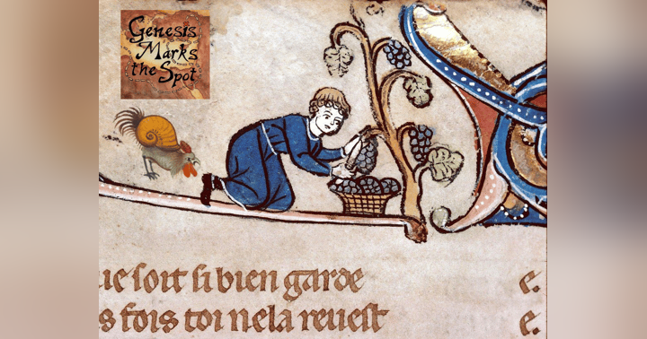 image for As You Drink: Wine, Worship, and the God Who Feasts With Us