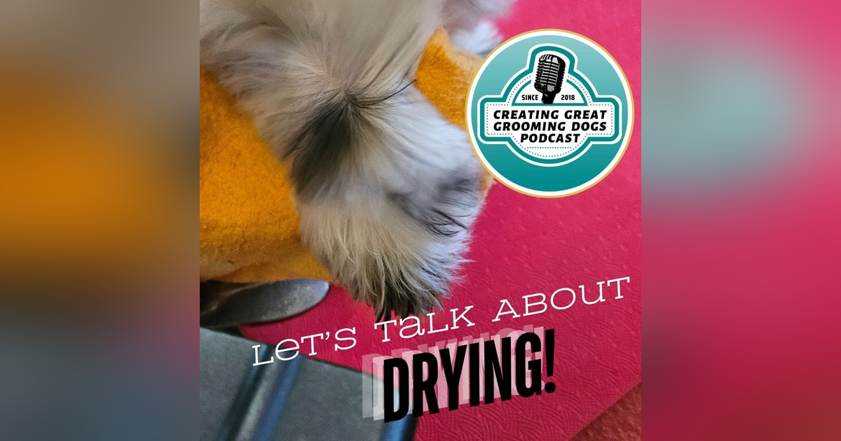 Let's Talk About Drying Ep199 Let's Talk About Drying Ep199