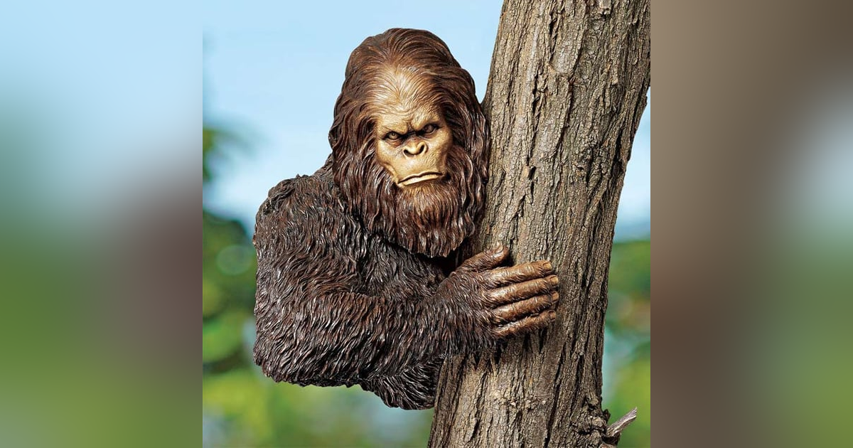 Transit Transient- Presents Kristy Feddock Hiker and explorer Transit Transient- Presents Kristy Feddock Hiker and explorer