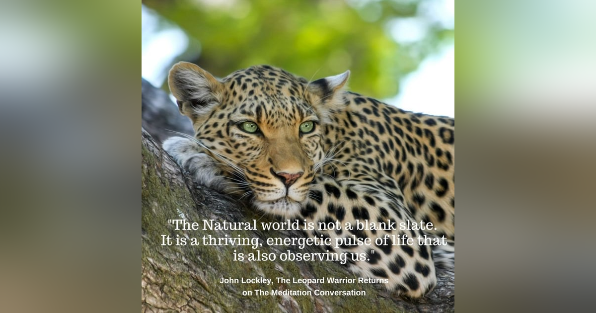 055. John Lockley - The Leopard Warrior Returns 055. John Lockley - The Leopard Warrior Returns