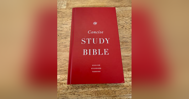 image for Teach The Word