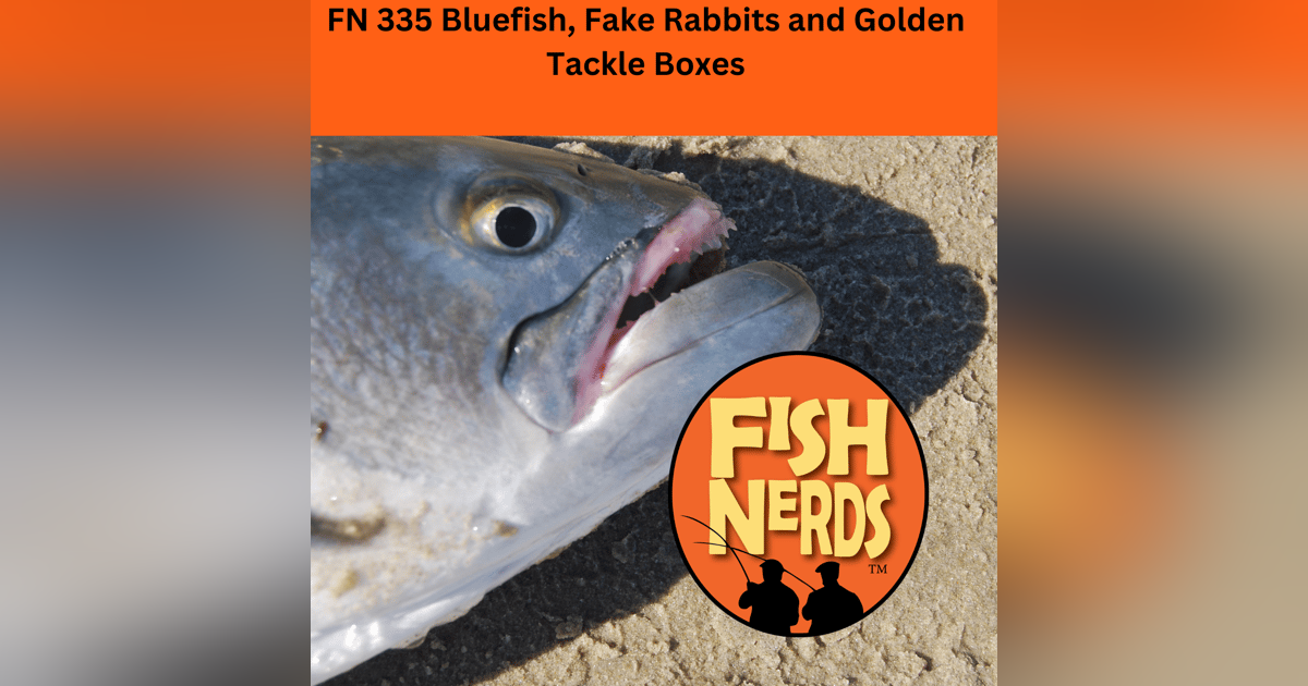 Bluefish Fake Rabbits and Golden Tackle Boxes FN335 Bluefish Fake Rabbits and Golden Tackle Boxes FN335
