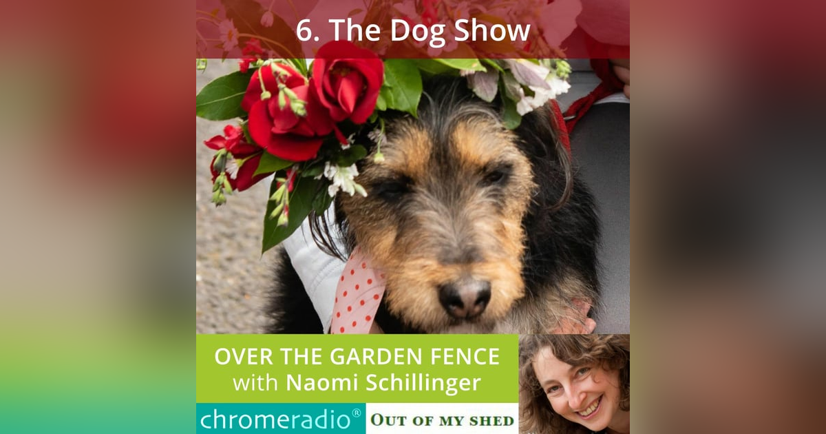 OVER THE GARDEN FENCE 6 | The Dog Show OVER THE GARDEN FENCE 6 | The Dog Show
