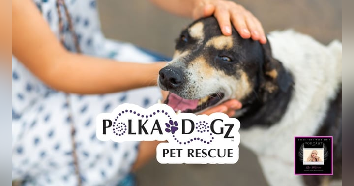 image for Every Dog Gets a Second Chance: Inside PolkaDogz Rescue's Mission of Hope