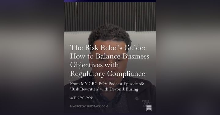 image for The Risk Rebel's Guide: How to Balance Business Objectives with Regulatory Compliance