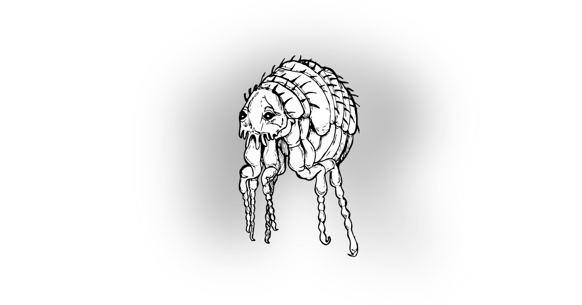 The Flea The Flea