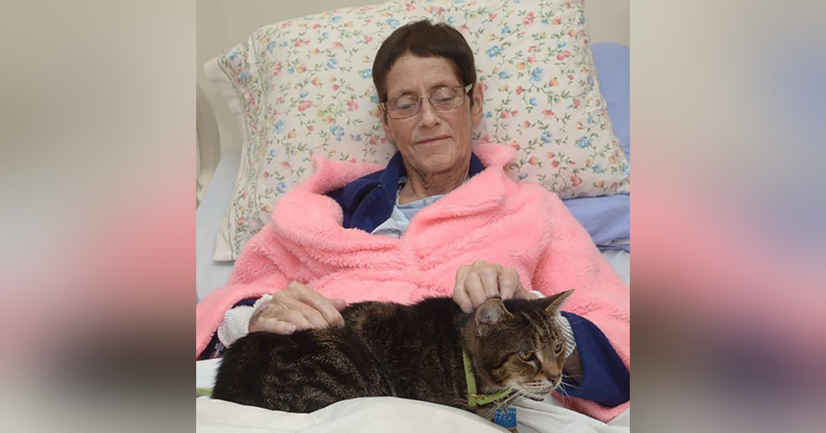 1256. Bringing Pets Into Hospitals 1256. Bringing Pets Into Hospitals