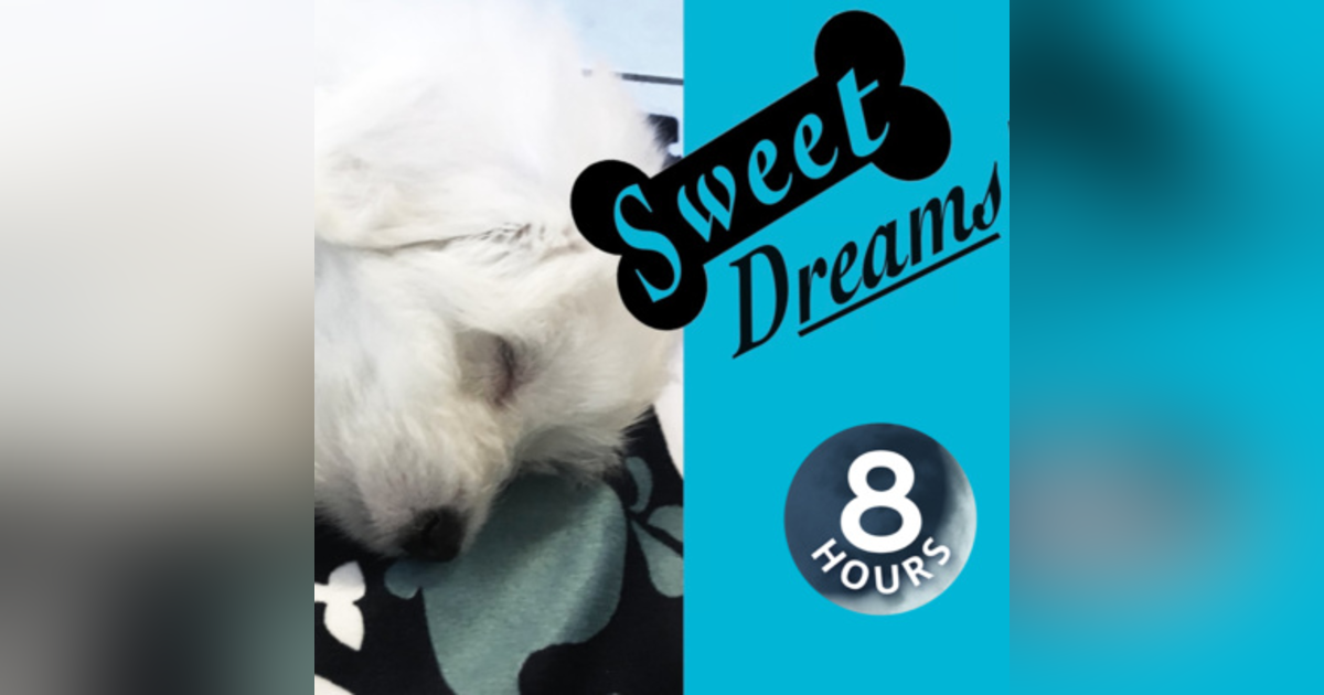 Dog Barking? Soothe Your Pet Now with Calming White Noise 8 Hours | Dog Sleep Sounds Dog Barking? Soothe Your Pet Now with Calming White Noise 8 Hours | Dog Sleep Sounds