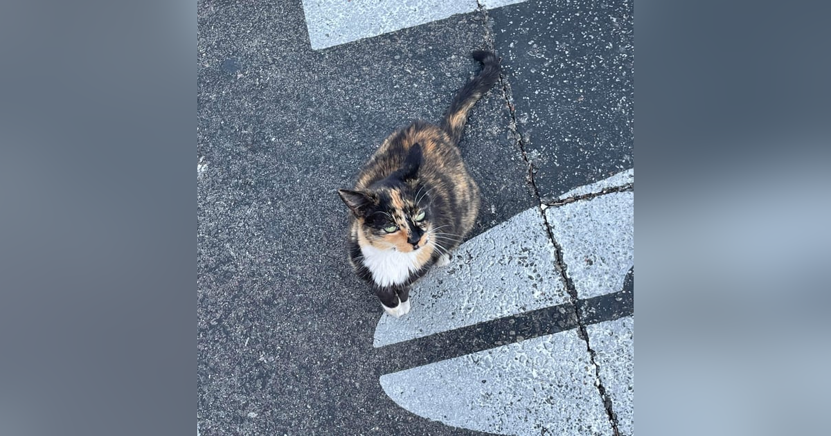 Make the day better Make the day better