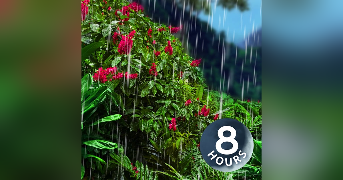 Heavy Rain Sounds in the Jungle | 8 Hour White Noise Rain Sounds for Sleeping Heavy Rain Sounds in the Jungle | 8 Hour White Noise Rain Sounds for Sleeping