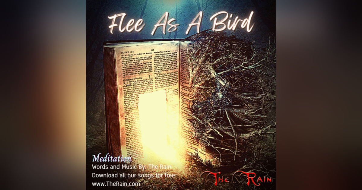 Flee As A Bird - Meditation Flee As A Bird - Meditation