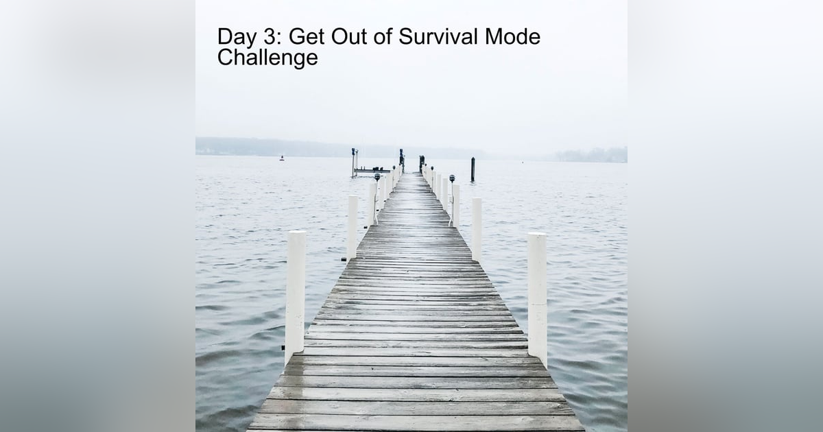 Day 3: Get Out of Survival Mode Challenge Day 3: Get Out of Survival Mode Challenge