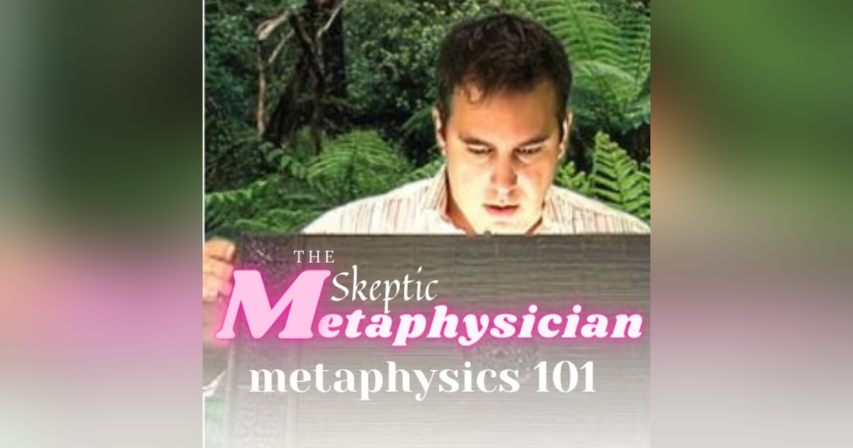 The Skeptic Metaphysician The Skeptic Metaphysician