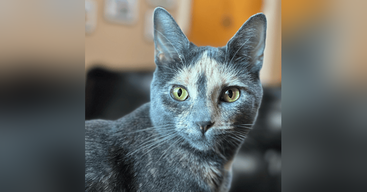 image for Behind the Mic: Episode 2 - When School Ends and Reality Begins