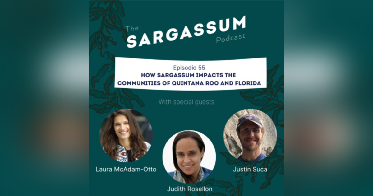 E53: How Sargassum impacts the communities of Quintana Roo and Florida with Judith Rosellon, Justin Suca and Laura McAdam-Otto E53: How Sargassum impacts the communities of Quintana Roo and Florida with Judith Rosellon, Justin Suca and Laura McAdam-Otto