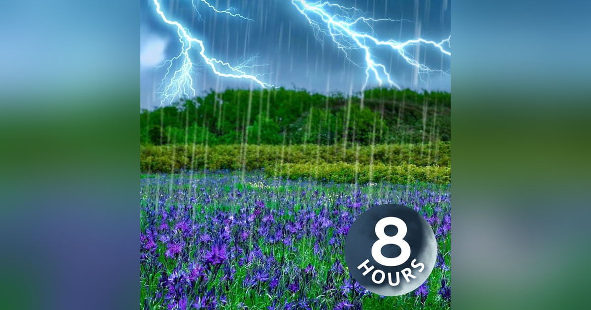 Thunder & Rain Sleep Sounds | 8-Hour Storm Ambience for Sleeping Thunder & Rain Sleep Sounds | 8-Hour Storm Ambience for Sleeping