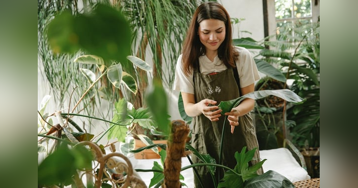 image for Love in the Workplace: What’s Consciousness Got to Do With It?