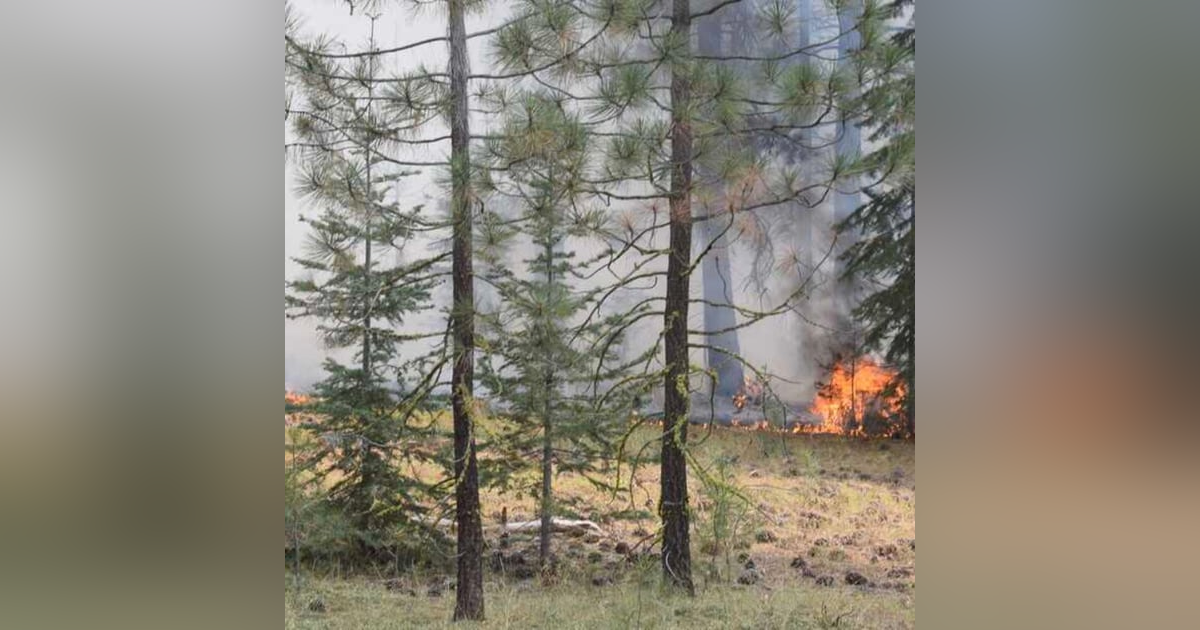 Wildfire Arsonists: A disturbing trend ? Wildfire Arsonists: A disturbing trend ?