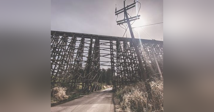 image for Paranormal Investigations in the PNW