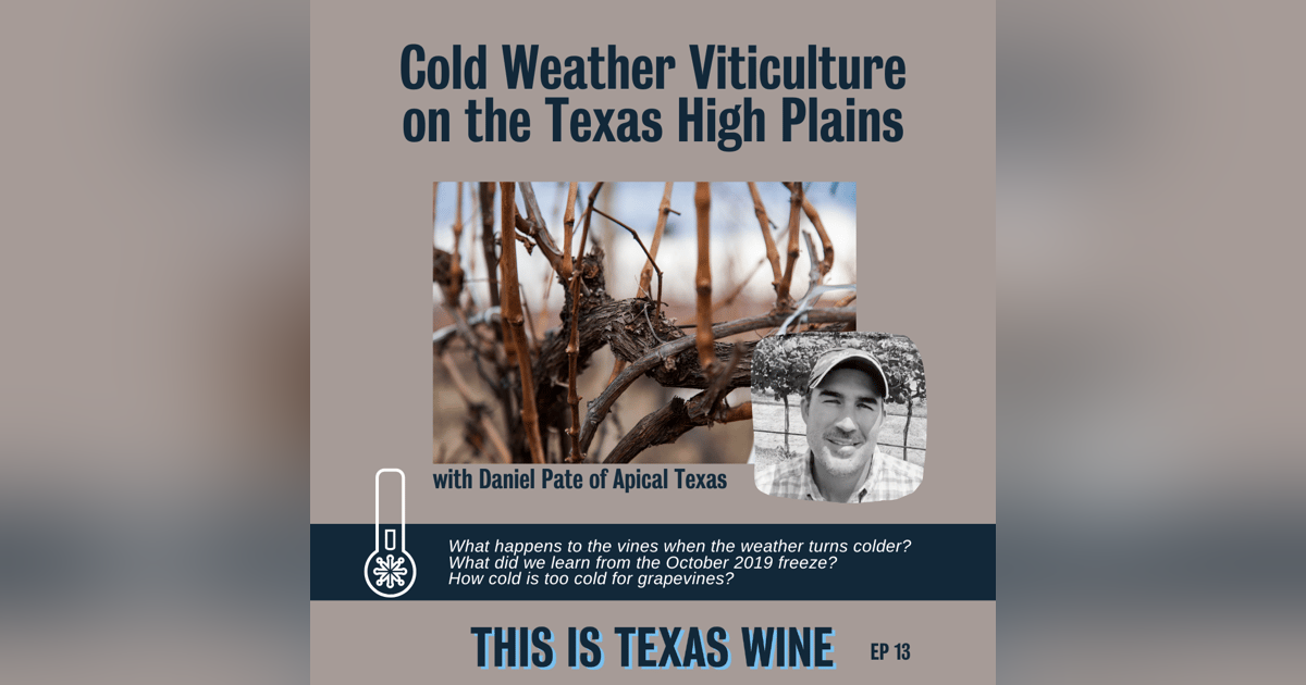 Cold Weather Viticulture with Daniel Pate of Apical Texas Cold Weather Viticulture with Daniel Pate of Apical Texas