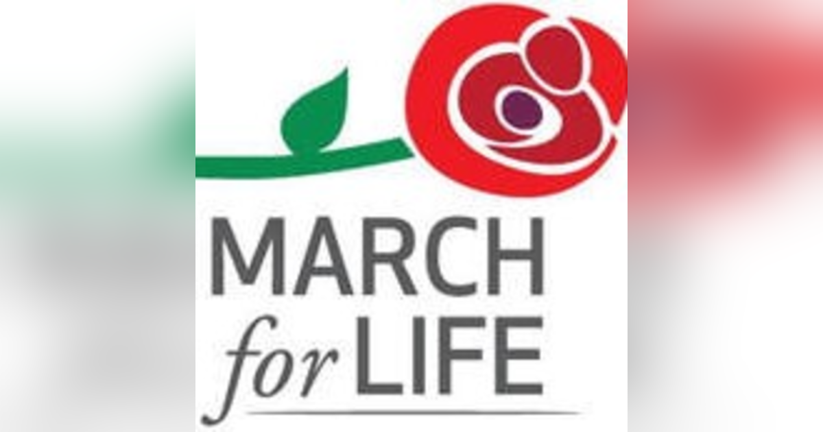 Carolina Catholic Radio Coverage of the 2022 Charlotte March For Life Carolina Catholic Radio Coverage of the 2022 Charlotte March For Life