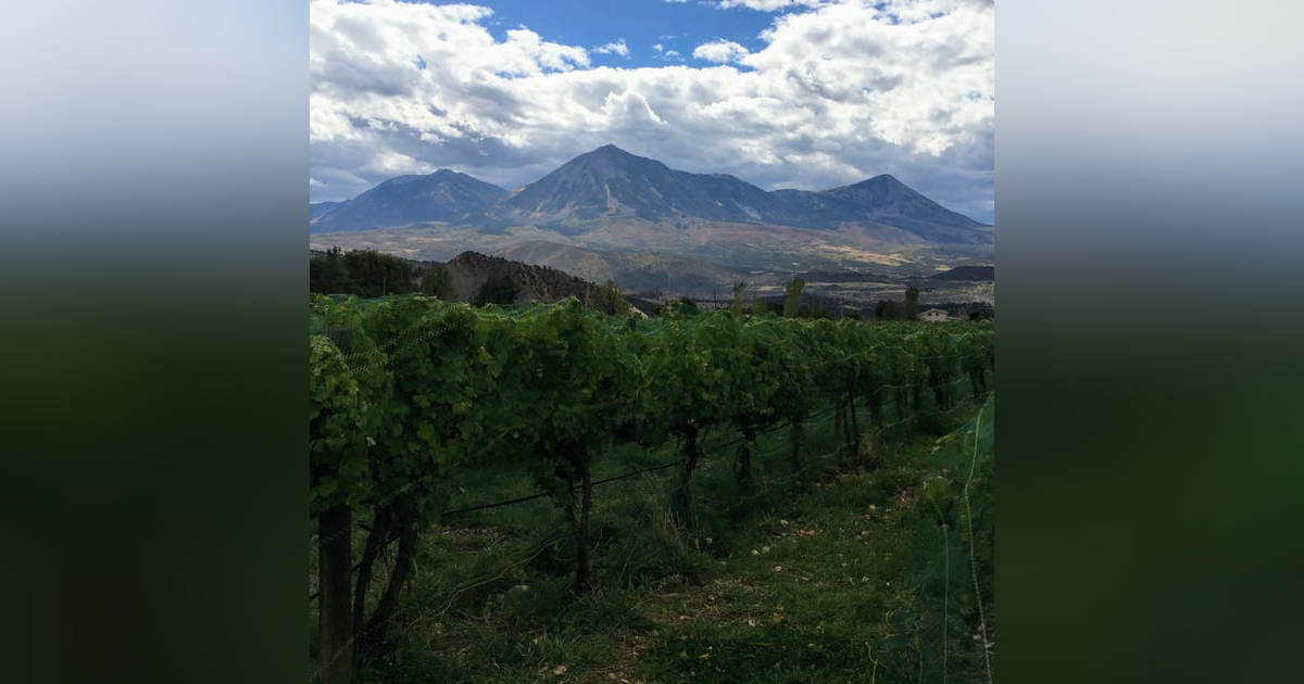 Colorado: Wine Enthusiast Top 10 Wine Getaways Colorado: Wine Enthusiast Top 10 Wine Getaways