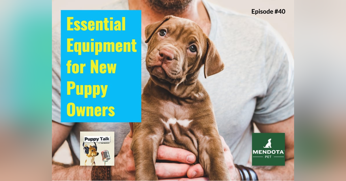 Essential Equipment for New Puppy Owners Essential Equipment for New Puppy Owners