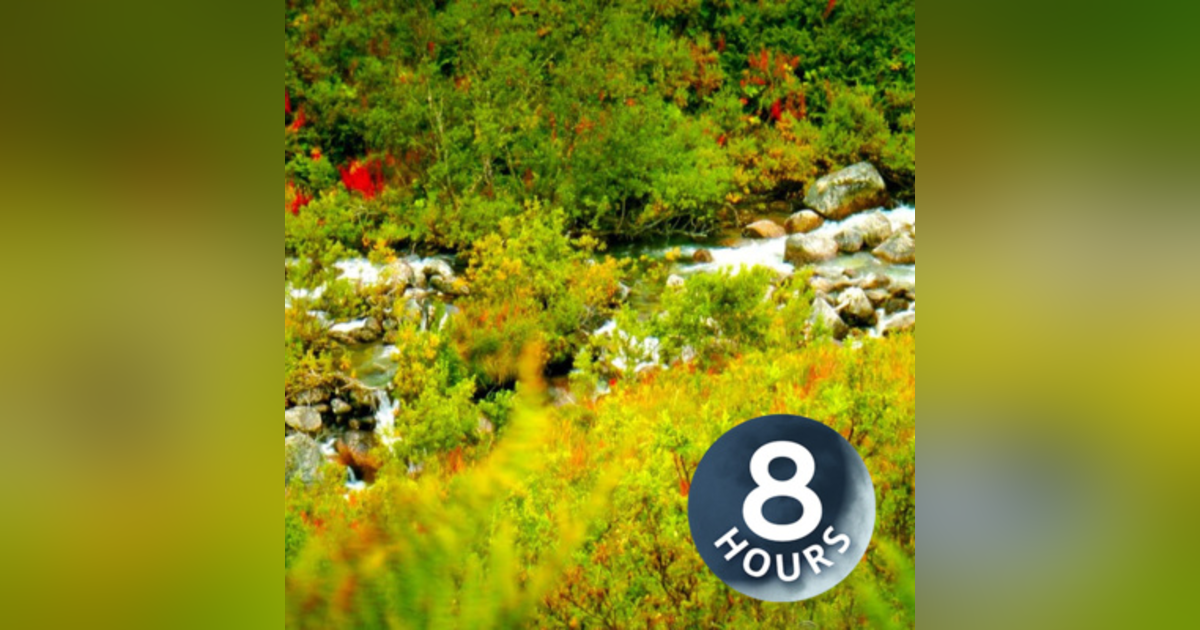 Stream & Bird Sounds for Relaxation 8 Hours | Nature Ambience Stream & Bird Sounds for Relaxation 8 Hours | Nature Ambience