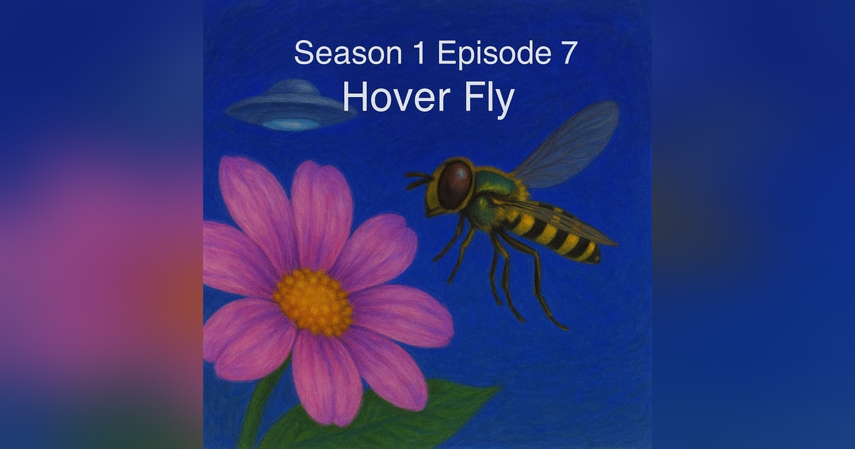 The Great Hover Fly Con The Great Hover Fly Con
