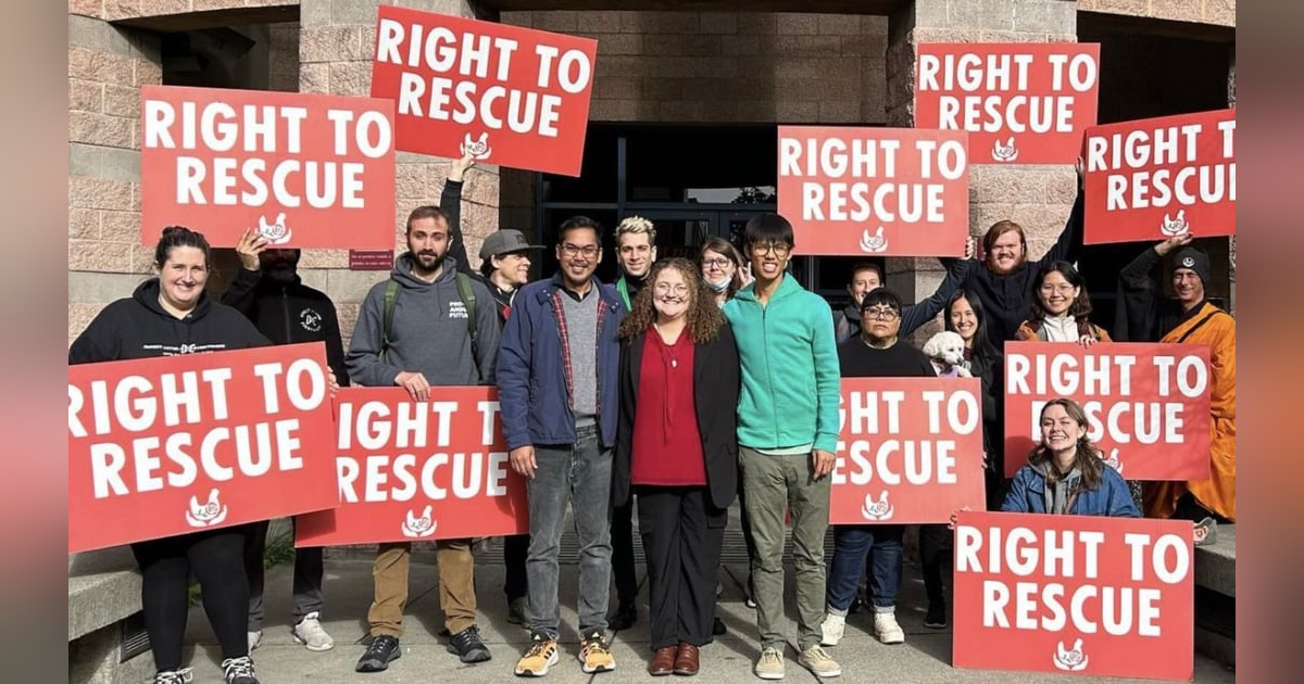 Why They're Prosecuting a Woman for Rescuing 4 Chickens Why They're Prosecuting a Woman for Rescuing 4 Chickens