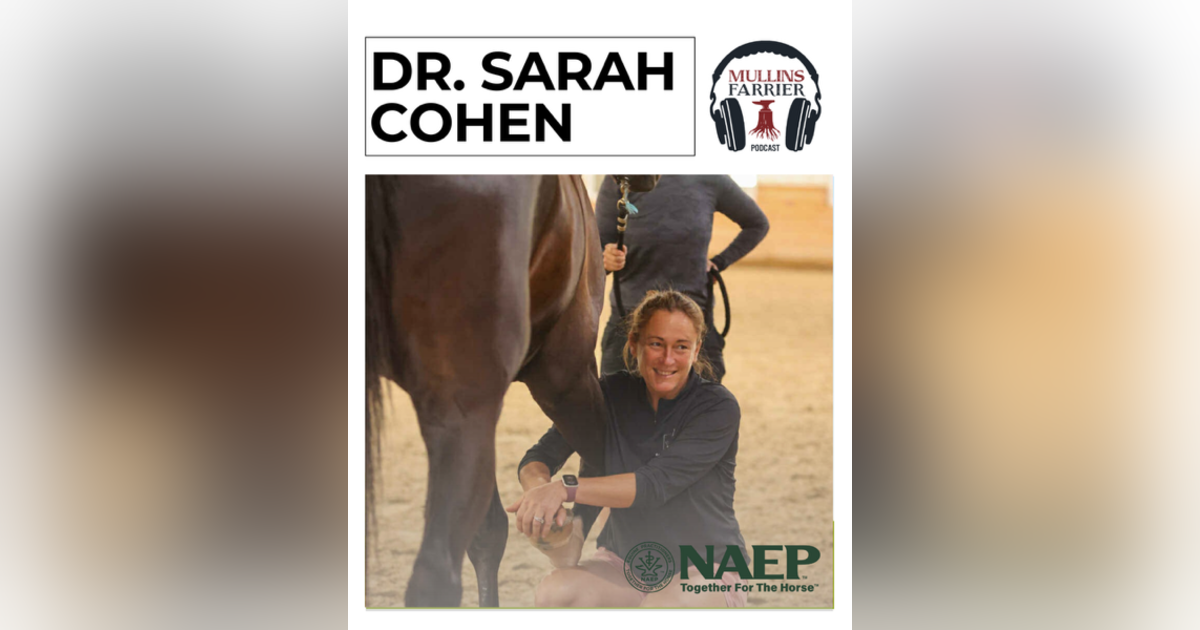 Dr. Sarah Cohen Re-Release Dr. Sarah Cohen Re-Release