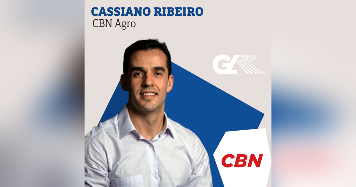 Produtores de Mato Grosso devem reduzir o plantio do milho na próxima safra Produtores de Mato Grosso devem reduzir o plantio do milho na próxima safra