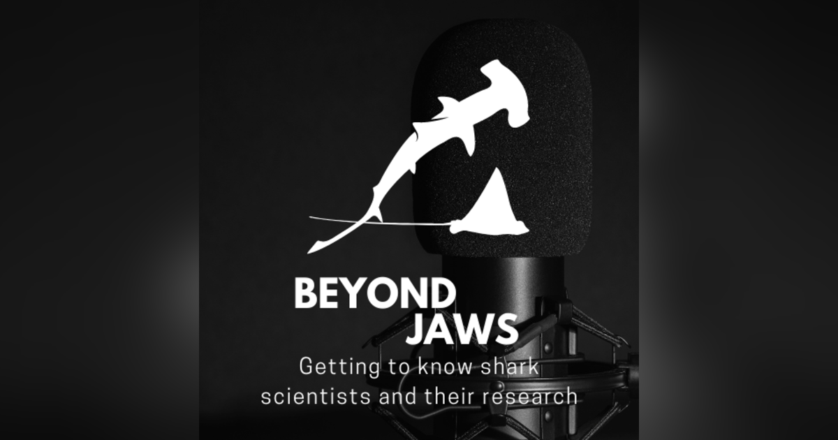 Sharks science fused with art with Ray Troll Sharks science fused with art with Ray Troll