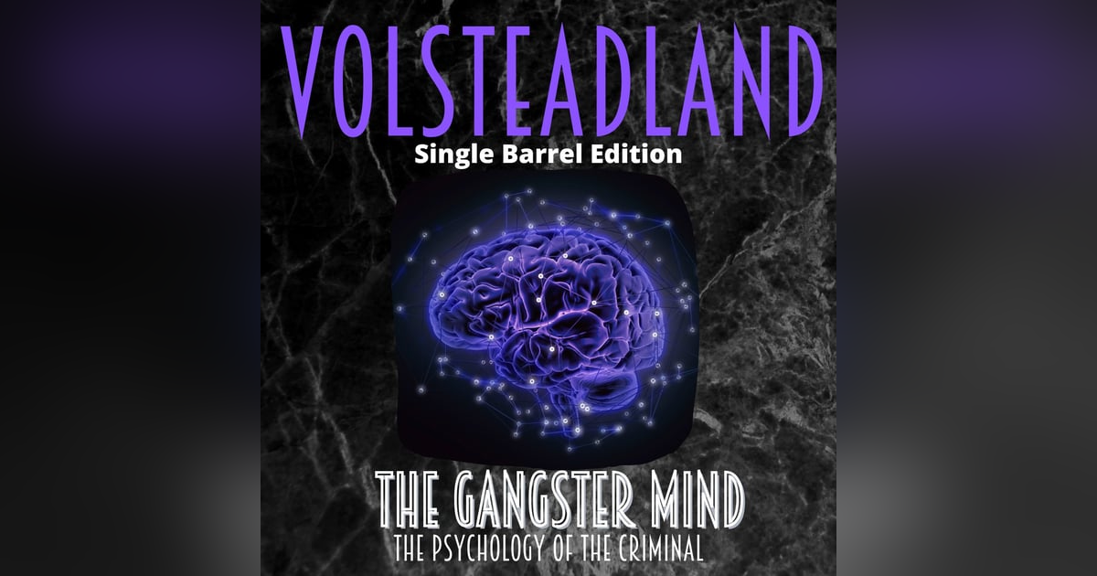 The Gangster Mind The Gangster Mind