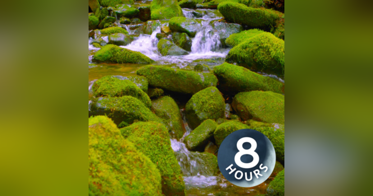 Mountain Stream Water Sounds White Noise for Sleep, Focus or Studying (8 Hours) Mountain Stream Water Sounds White Noise for Sleep, Focus or Studying (8 Hours)