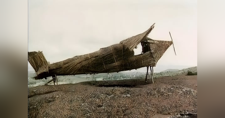 image for The Cargo Cults of Melanesia