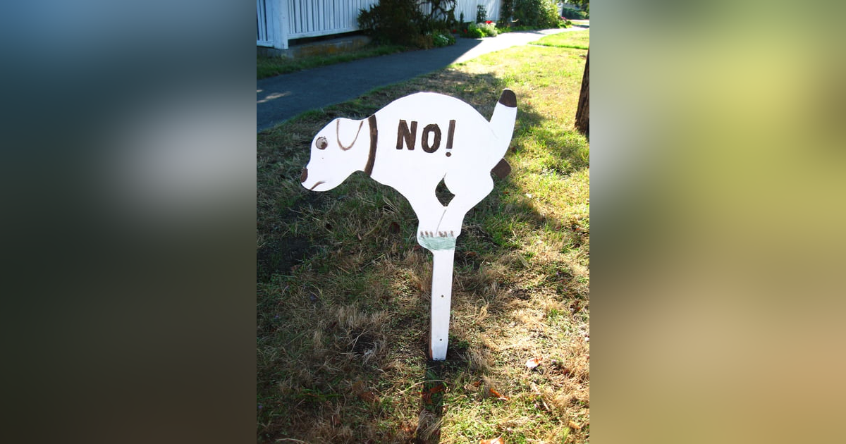 Harsh but Truthful Harsh but Truthful