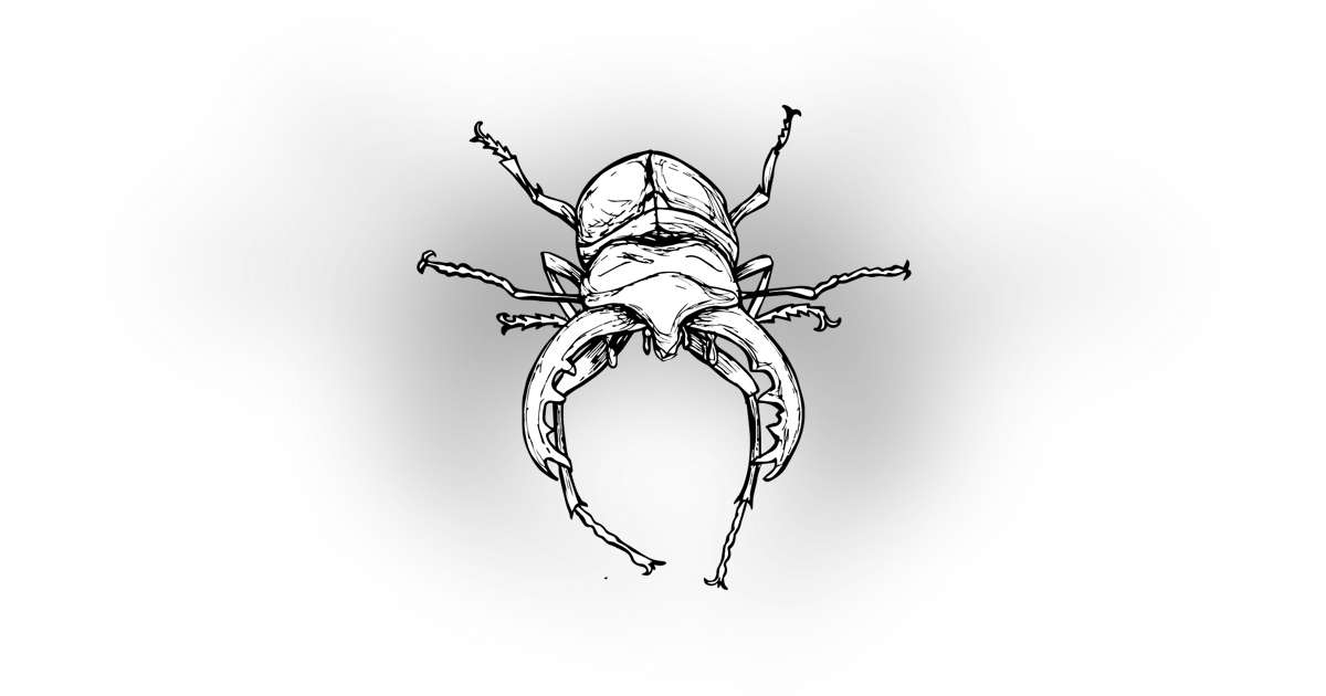 The Stag Beetle The Stag Beetle