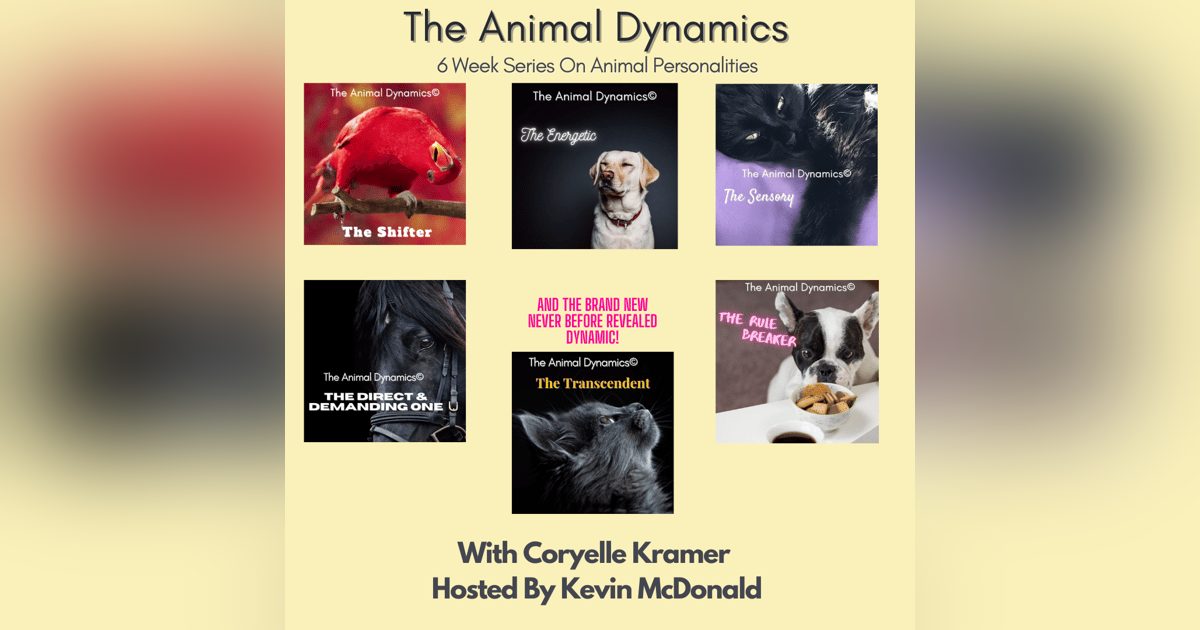 Conversations With Coryelle- Animal Dynamic's Part one- Direct and Demanding One Conversations With Coryelle- Animal Dynamic's Part one- Direct and Demanding One