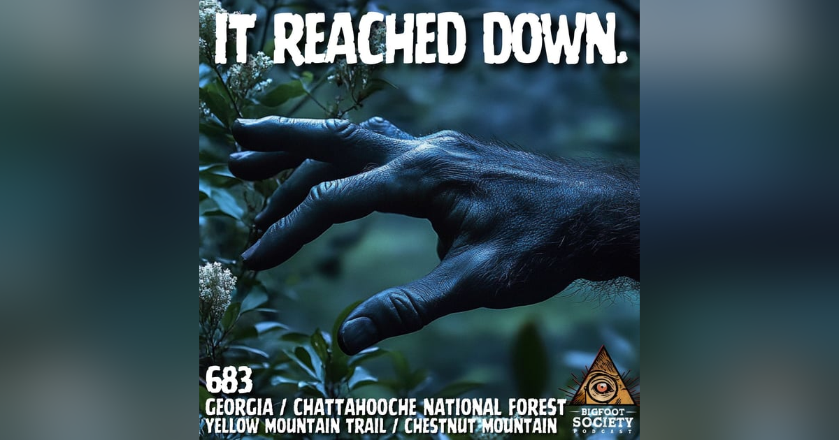 It Reached Down! | Georgia It Reached Down! | Georgia