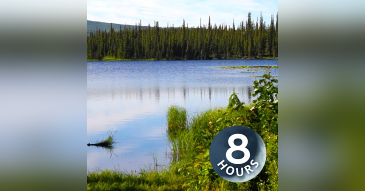 Lake Water Sounds with Birds & Breeze 8 Hours | Nature Ambience for Relaxation, Studying or Sleeping Lake Water Sounds with Birds & Breeze 8 Hours | Nature Ambience for Relaxation, Studying or Sleeping