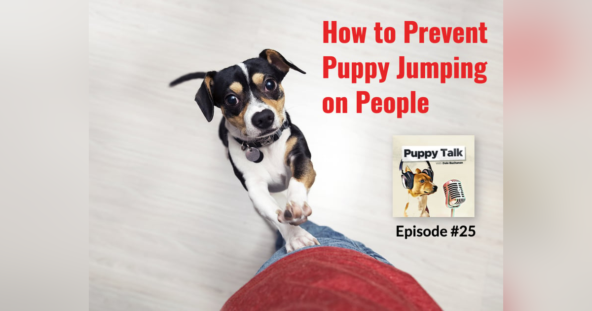How to Prevent Puppy Jumping on People How to Prevent Puppy Jumping on People