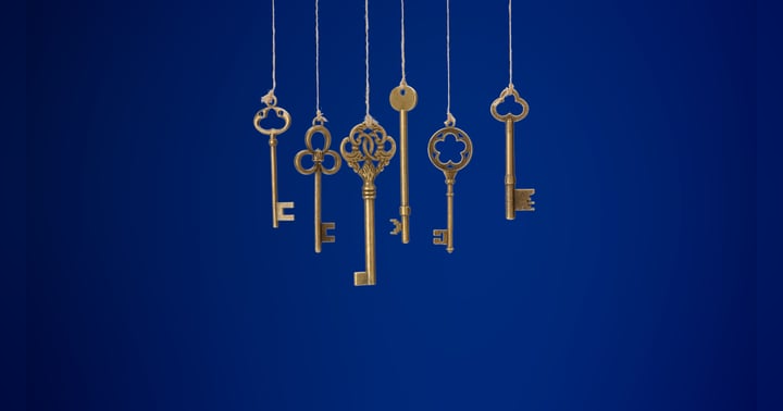 image for Missing Key: The Cozy Mystery of Antique Shopping