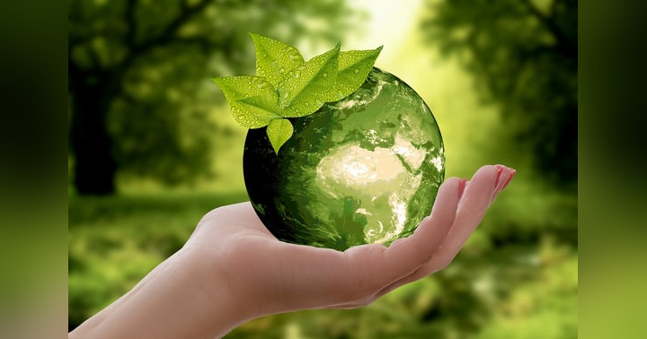 image for The Earth Caretaker Way