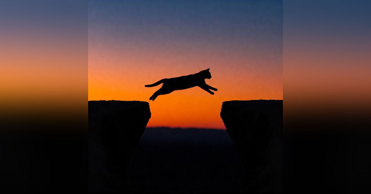 S2E10 Leap of Faith S2E10 Leap of Faith