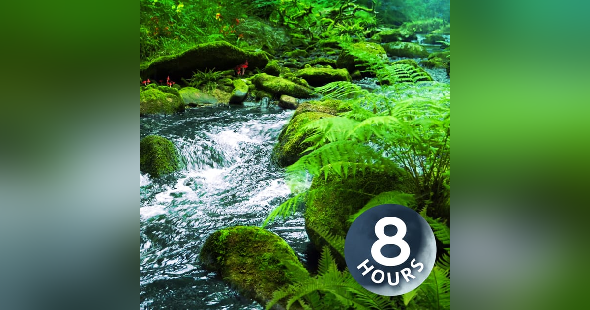 Rain + River in Enchanted Woods 8 Hours | Sleep, Study or Relax! Rain + River in Enchanted Woods 8 Hours | Sleep, Study or Relax!