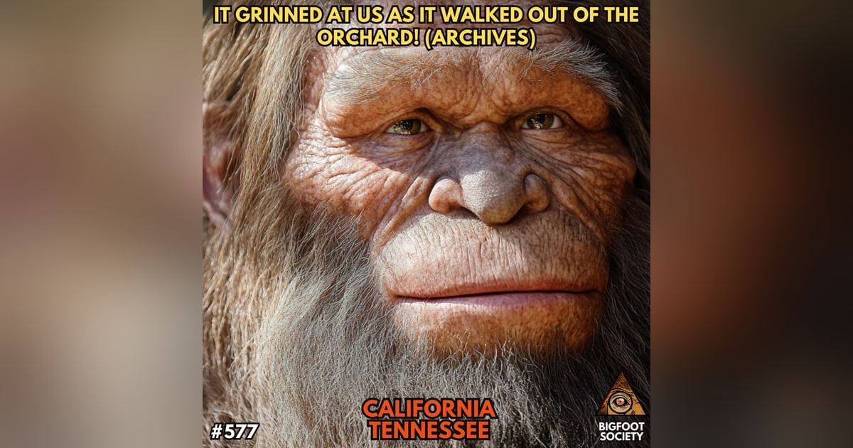 Mr. Black and the Sasquatch (Archive) Mr. Black and the Sasquatch (Archive)