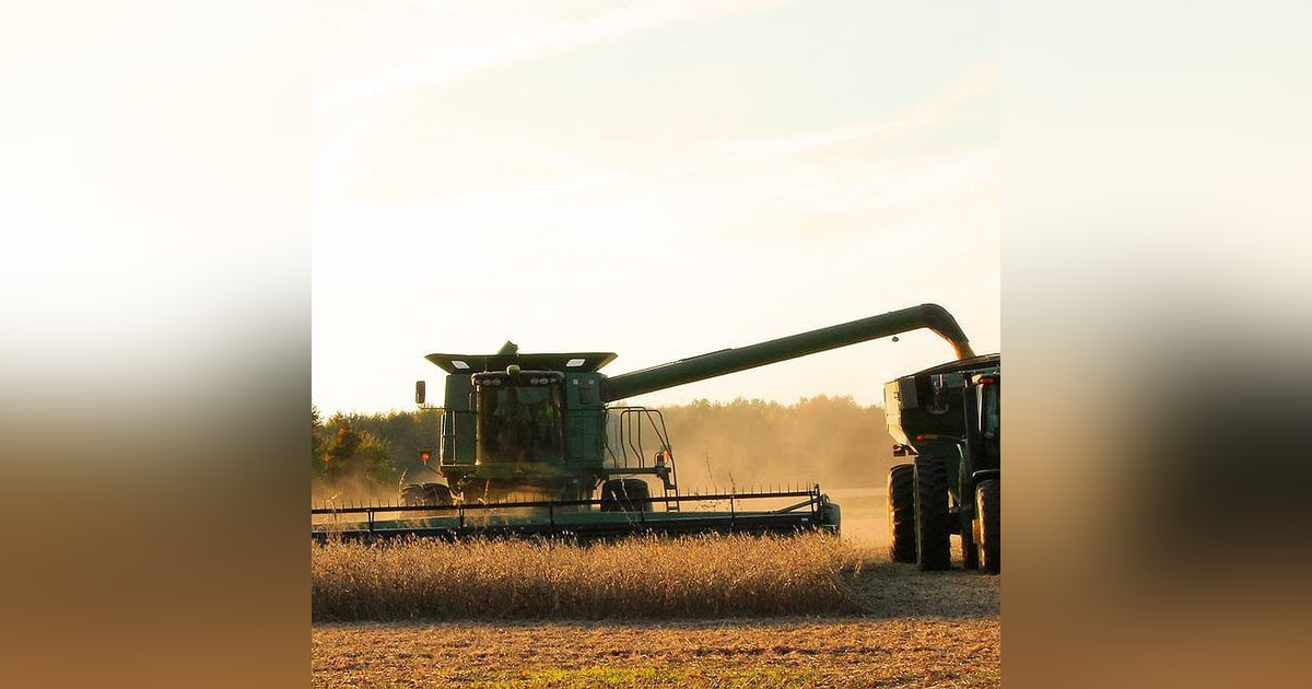 Bioinsumos ganha cada vez mais espaço no agronegócio Bioinsumos ganha cada vez mais espaço no agronegócio