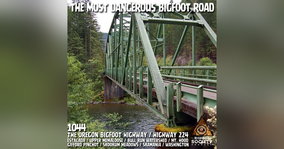 He Spent Decades in Oregon’s Bigfoot Highway But the Woods Started Talking Back He Spent Decades in Oregon’s Bigfoot Highway But the Woods Started Talking Back